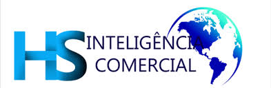 hsinteligencialogo